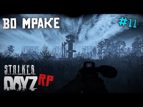 Видео: МРАЧНОЕ МЕСТО. DAYZ STALKER RP 11 серия