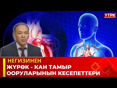 Видео: Жүрөк - кан тамыр ооруларынын  кесепеттери |  Негизинен