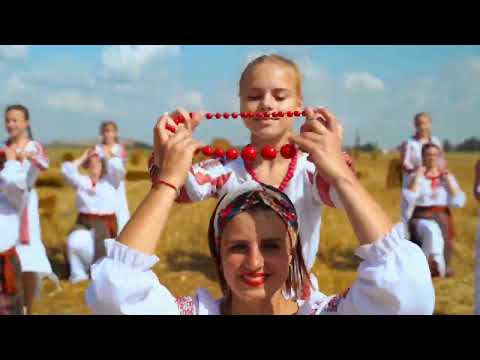 Видео: Дивна квітка. Червоноград