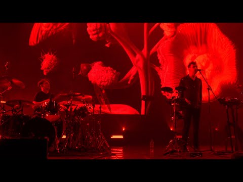 Видео: Дельфин - Сахар, Собака ( 07.03.2024, Atmosphere )