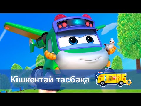 Видео: Қайсар автобус.2-маусым - Бөлім 1.Кішкентай тасбақа - Мультфильмдер