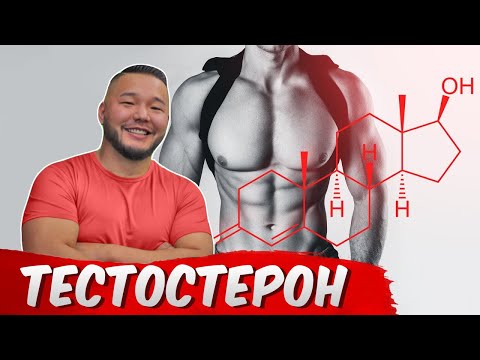 Видео: #Тестостерон нэмэгдүүлэх хамгийн үр дүнтэй аргууд. Зөвхөн +25 эрчүүд үзнэ үү!