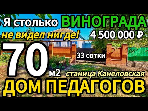 Видео: 🏡Два Дома + Виноград ! 70 м2🦯33 сотки🦯4 500 000 ₽🦯станица Канеловская🦯89245404992 Виктор С🌴