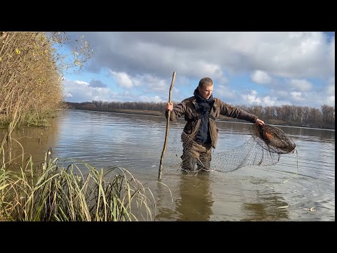 Видео: Поставил фитили на реке, Всю рыбу выловили.  #лайк #fishing #фитиль #вентиль