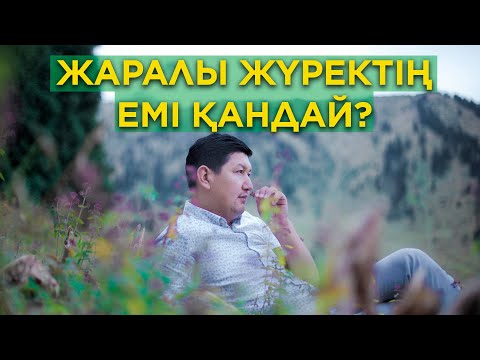 Видео: Жаралы жүректің емі қандай? | Өмірге өкпелеме