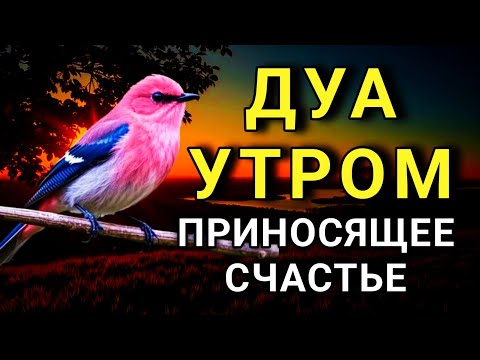Видео: ✨ ДУА ДЛЯ ПРИВЛЕЧЕНИЯ СЧАСТЬЯ И УДАЧИ! 🔑💯🤲