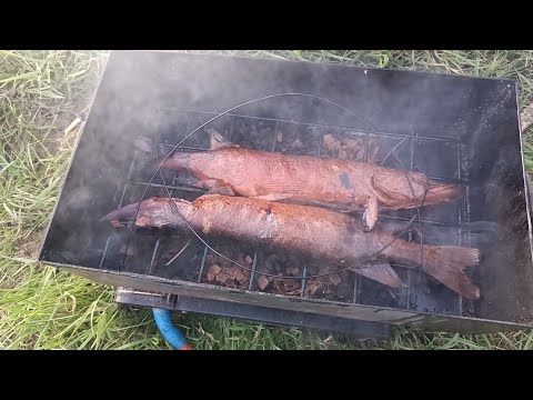 Видео: Озеро ИЛЬМЕНЬ, первый день рыбалки🎣🦈👍