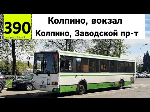Видео: Автобус 390 "Колпино, вокзал - Колпино, Заводской проспект" ЛиАЗ-5293.60 б/н 3839