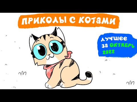 Видео: Приколы с котами. ЛУЧШЕЕ ЗА ОКТЯБРЬ 2022 | Мемозг