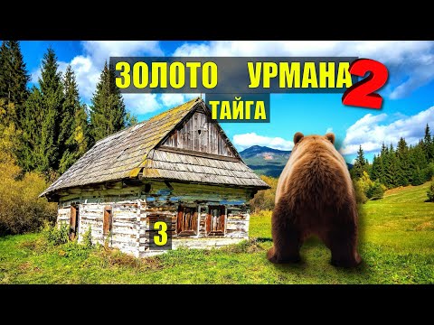 Видео: МЕДВЕДЬ СЛУЧАЙ в ТАЙГЕ ДОМ в ЛЕСУ ЗОЛОТО УРМАНА 2 ТАЙГА ИСТОРИИ из ЖИЗНИ АУДИОКНИГА СЕРИАЛ 3
