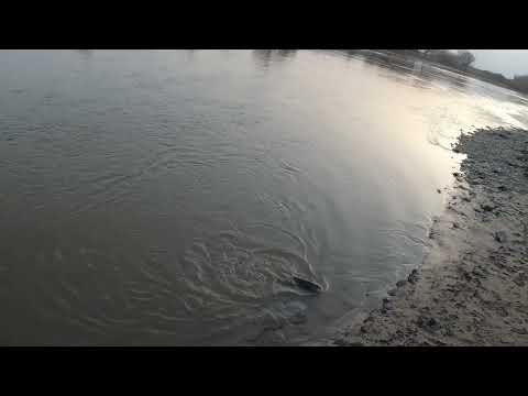 Видео: #жетысуйскаяобласть #каратал #рыбалка #жерех #dji&GoPro