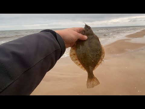 Видео: 31.10.2025 ловля камбалы днём 