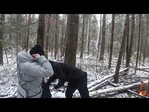 Видео: ОХОТА на ЗАЙЦА с РУССКОЙ ГОНЧЕЙ.29 октября 2023.