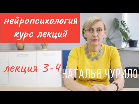 Видео: Нарушение ВПФ при локальных поражениях отделов мозга  || лекция 3-4/10 || Наталья Чурило