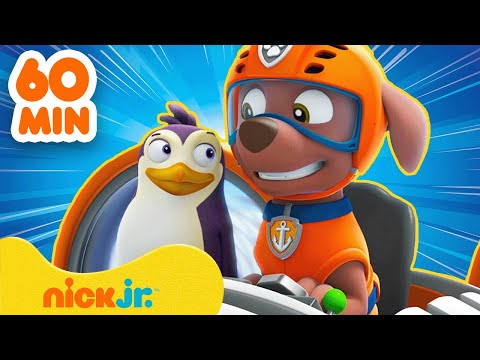 Видео: Щенячий патруль | 1 ЧАС самых грандиозных спасений животных! | Nick Jr. Cyrillic