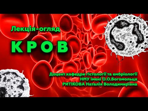 Видео: Лекція-огляд  Кров