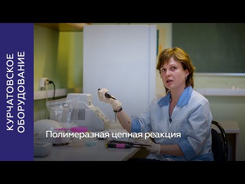 Видео: Полимеразная цепная реакция