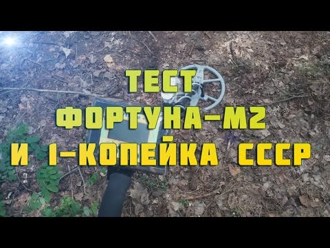 Видео: Тест МД Фортуна-М2 и 1 коп СССР
