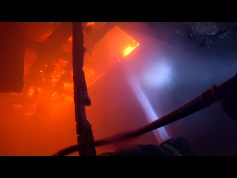 Видео: С огнем один на один. Нашел испуганного собачонка...