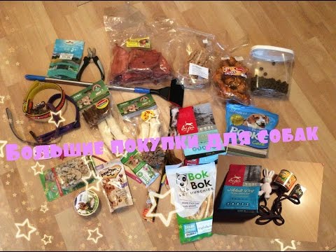 Видео: Большие покупки из зоомагазина