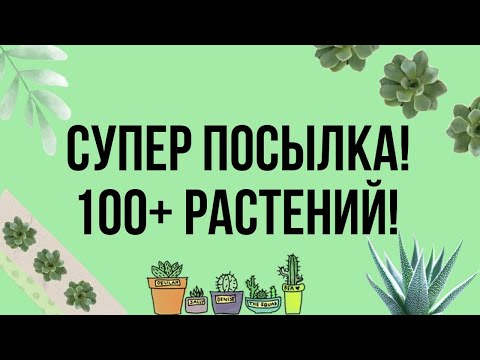 Видео: Распаковка посылки от блогера!!!