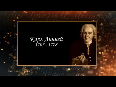 Видео: Сердце, отданное людям. Карл Линней