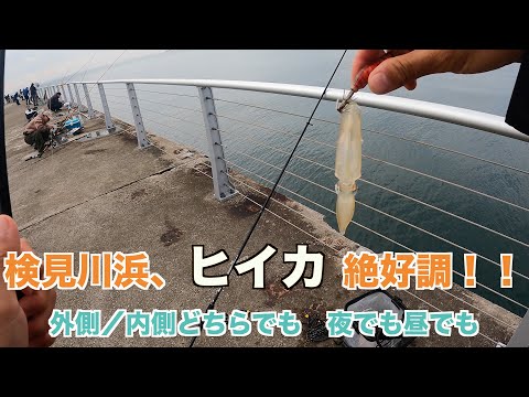 Видео: Улов был просто невероятный! Мы не могли оторваться от кальмаров утром и днём!