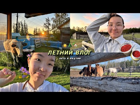 Видео: VLOG: лето в деревне якутии