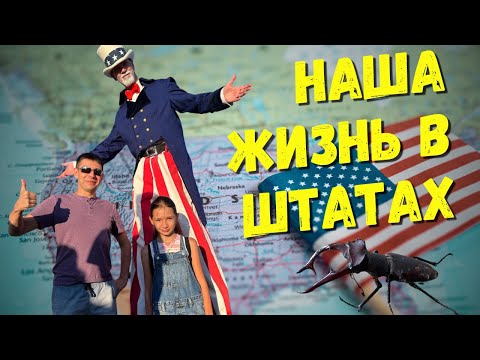 Видео: Наша жизнь в штатах: Автомойка в Америке, Библиотека в США Пробуем сверчков и личинок.