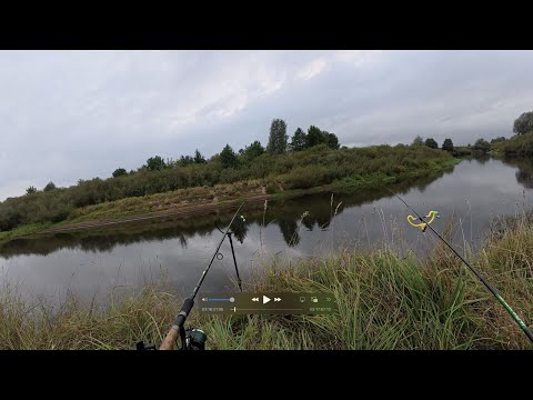 Видео: На Немане