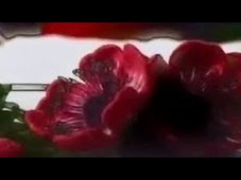 Видео: Мокрое и сухое валяние. Изучаем технику и декорируем разные вещицы. Мастер класс