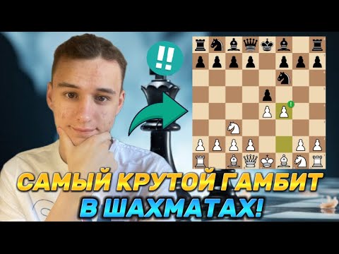 Видео: ЭТОТ ДЕБЮТ СДЕЛАЕТ ВАС ЧЕМПИОНОМ! Венская партия!