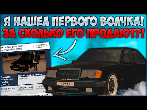 Видео: НАШЕЛ ПЕРВОГО ВОЛЧКА! ЗА СКОЛЬКО ЕГО ГОТОВЫ ПРОДАТЬ? АУКЦИОНЫ ВСЕХ СЕРВЕРОВ - CCDPlanet