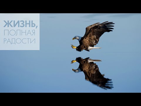 Видео: Джойс Майер: Живите смело! ч. 1