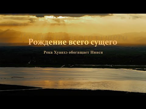 Видео: Документальный фильм «Река Хуанхэ обогащает Нинся：Рождение всего сущего» (50 минут)