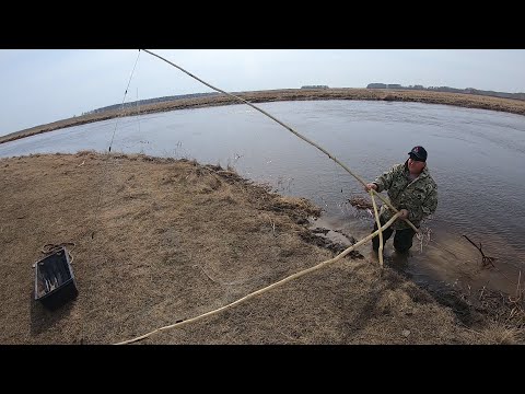 Видео: ЛОВЛЯ ЩУКИ НА СИБИРСКОЙ РЕКЕ!!! ЩУКА АТАКУЕТ!!!