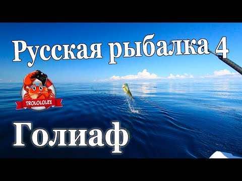 Видео: Русская рыбалка 4 Голиаф 30000 Фарм на норвежском море