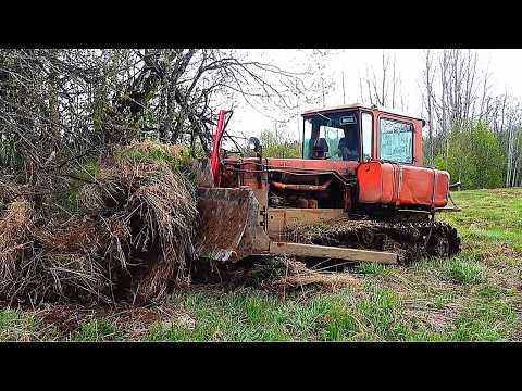 Видео: СТРОЙКА в ТАЁЖНОЙ ИЗБЕ! ВЫВОЗИМ ТОННЫ МЕТАЛЛА из ЛЕСА! ТРАКТОРИСТ РАЗНЁС ПОЛЕВОЙ СТАН на ДТ-75