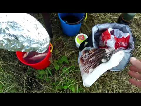 Видео: Вкусная уха, и прекрасный отдых с женой. 