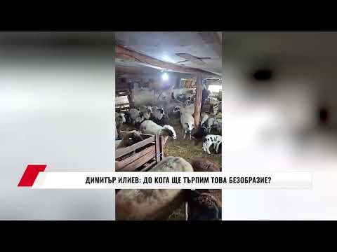 Видео: ДИМИТЪР ИЛИЕВ: ДО КОГА ЩЕ ТЪРПИМ ТОВА БЕЗОБРАЗИЕ?