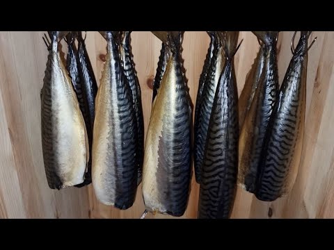 Видео: Вот так Коптим Макрель в Норвегии.