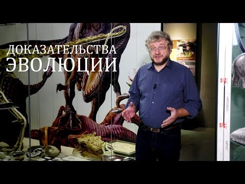 Видео: Доказательства эволюции: переходные звенья. Александр Рубцов