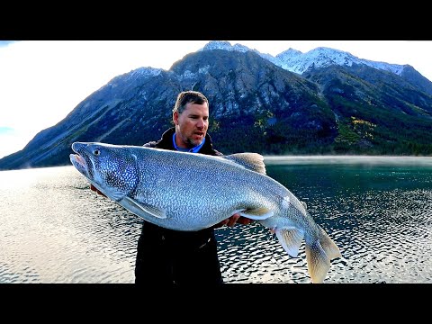 Видео: Осенняя рыбалка в Юконе. В погоне за мировым рекордом YouTube