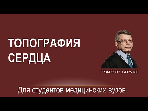 Видео: Топография сердца