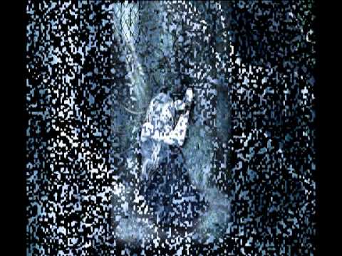 Видео: Не впускай зверя в дверь.avi