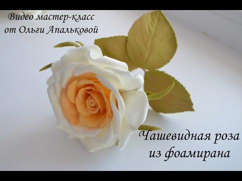 Видео: Чашевидная роза