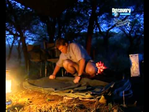Видео: Рей Мирс Искусство выживания. Лагерь в Африке. 2004