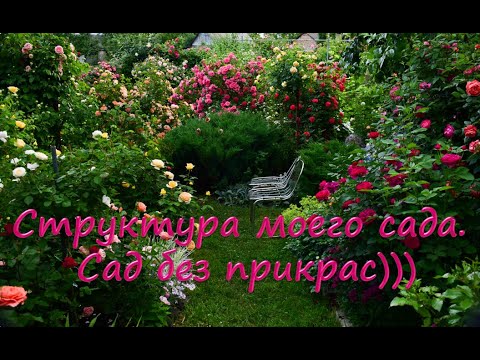 Видео: Структура моего сада без прикрас. Ответы на вопросы подписчиков.