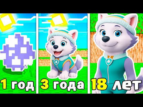 Видео: КАК МЕНЯЛАСЬ ЭВЕРЕСТ ЩЕНЯЧИЙ ПАТРУЛЬ В МАЙНКРАФТ