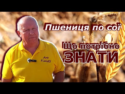 Видео: Пшениця по сої. Що потрібно знати.